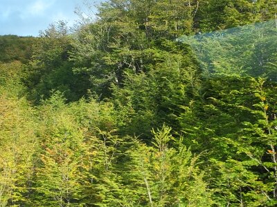 USHUAIA2726 (59)
