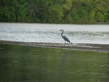 lakeColumbia (30)