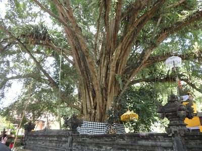 TirtaEmpul (13)