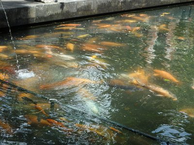 TirtaEmpul (87)