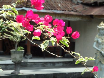 TirtaEmpul (93)