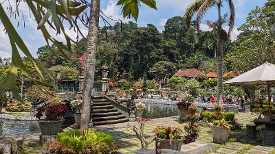 NatureBali23 (105)