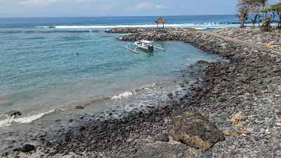 NatureBali23 (156)