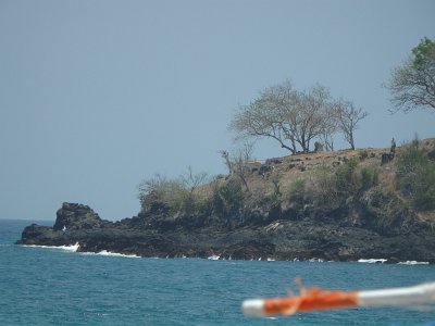 NatureBali23 (51)