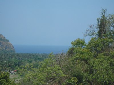 NatureBali23 (60)