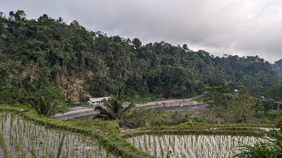 RiceFieldsBali23 (104)