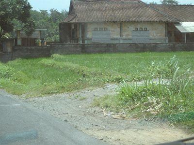 RiceFieldsBali23 (14)