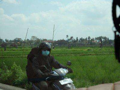 RiceFieldsBali23 (4)