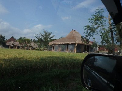 RiceFieldsBali23 (61)