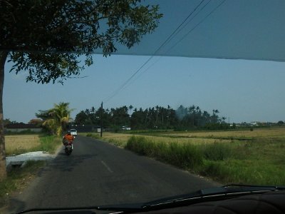 RiceFieldsBali23 (62)