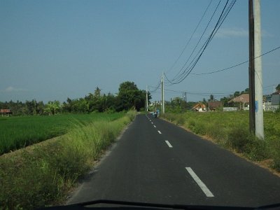 RiceFieldsBali23 (80)