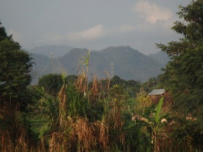 RiceFieldsBali23 (86)