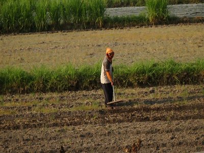 RiceFieldsBali23 (91)