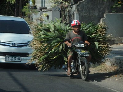 RoadsBali23 (104)