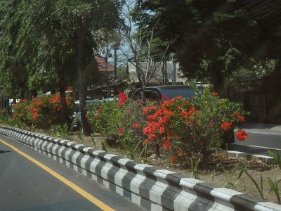 RoadsBali23 (113)