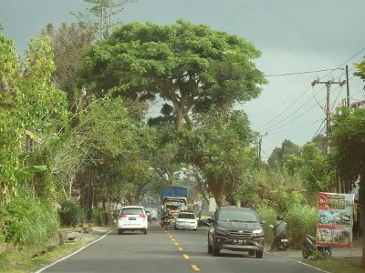 RoadsBali23 (43)