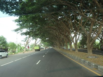 RoadsBali23 (51)