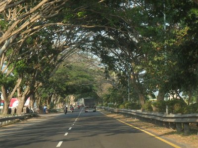 RoadsBali23 (71)