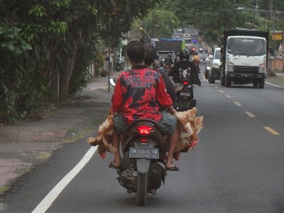 RoadsBali23 (77)