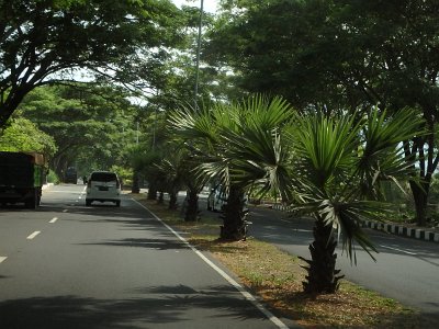 RoadsBali23 (81)