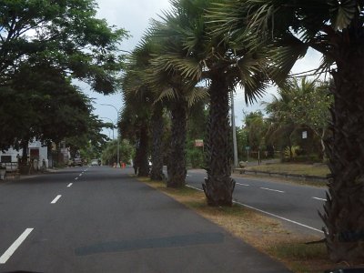 RoadsBali23 (83)