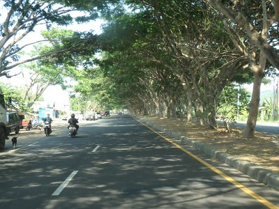 RoadsBali23 (9)