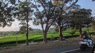 RoadsBali23 (94)