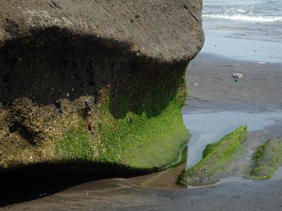 TanahLot (105)