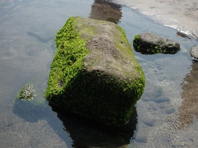 TanahLot (106)