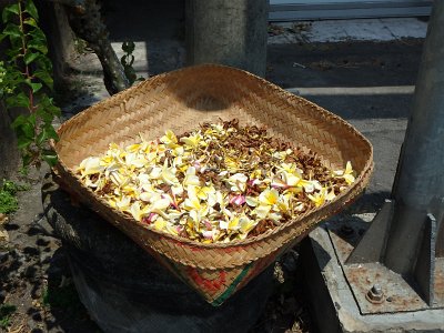 TanahLot (12)