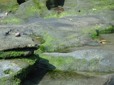 TanahLot (134)