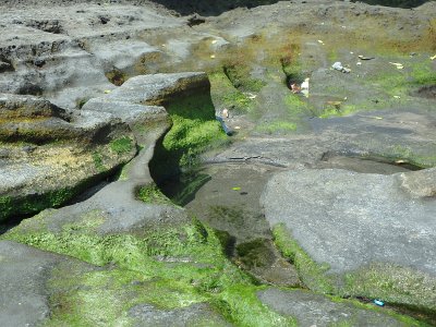 TanahLot (135)