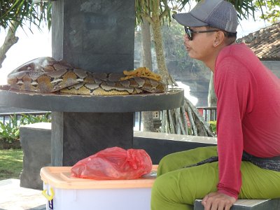 TanahLot (73)