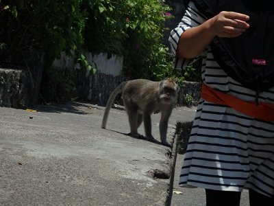 Uluwatu (11)