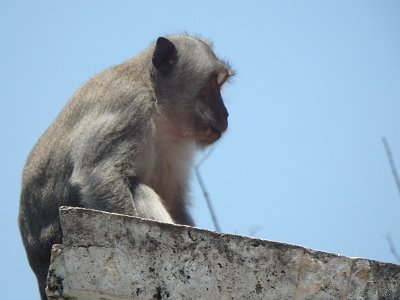 Uluwatu (17)