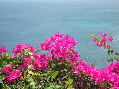 Uluwatu (26)