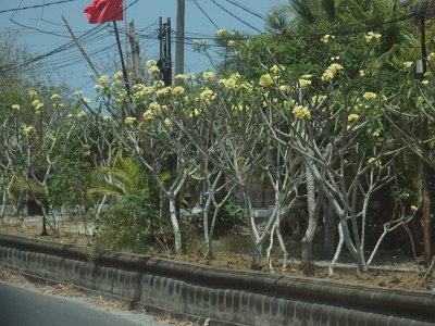 Uluwatu (49)