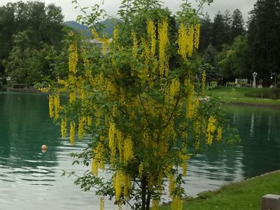 LjubljanaLake (129)