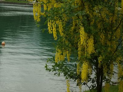 LjubljanaLake (131)