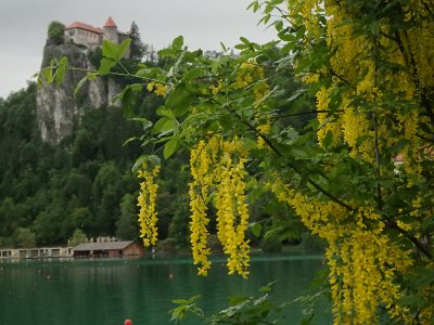 LjubljanaLake (195)