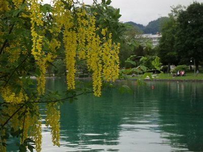 LjubljanaLake (196)