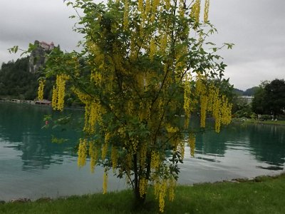 LjubljanaLake (197)