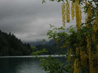 LjubljanaLake (199)