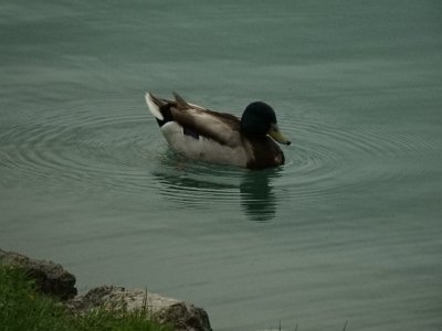 LjubljanaLake (201)