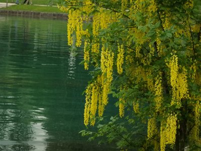 LjubljanaLake (212)