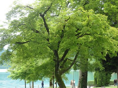 LjubljanaLake (248)