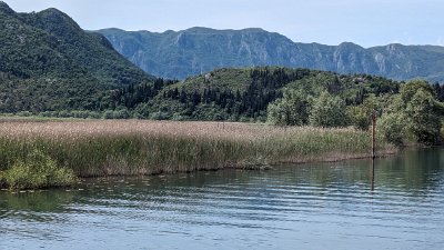 Biogradsko Lake (5)