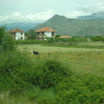 PODGORICA7 (267)