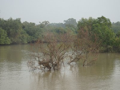 BhitarKanikaO (174)