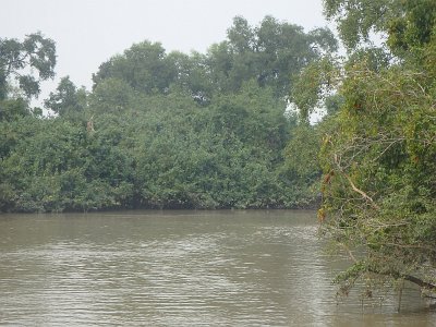 BhitarKanikaO (181)